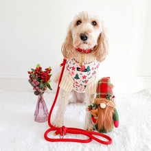 Load image into Gallery viewer, Winter Wonderland Harness