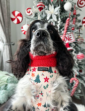 Load image into Gallery viewer, Winter Wonderland Harness