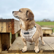 Load image into Gallery viewer, Signature Tartan Harness