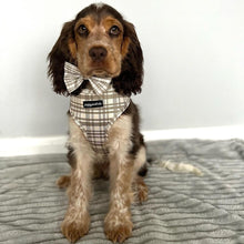 Load image into Gallery viewer, Signature Tartan Bow