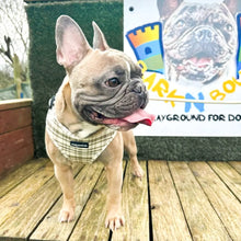 Load image into Gallery viewer, Signature Tartan Harness