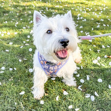 Load image into Gallery viewer, Who Let The Dogs Out Harness