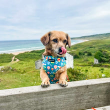 Load image into Gallery viewer, Up and Away Harness