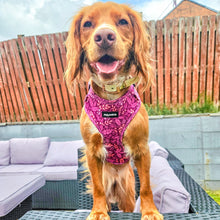 Load image into Gallery viewer, Malbec Vines Harness