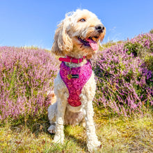 Load image into Gallery viewer, Malbec Vines Harness