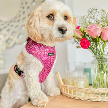 Load image into Gallery viewer, Malbec Vines Harness