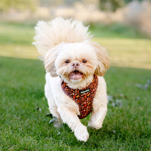 Load image into Gallery viewer, Pecan Forest Harness