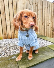Load image into Gallery viewer, Baby Blue Jumper