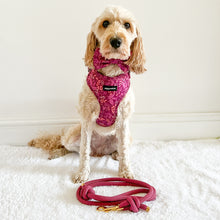 Load image into Gallery viewer, Malbec Vines Bundle