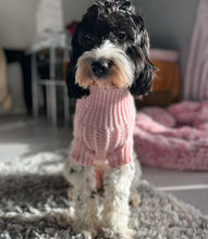 Load image into Gallery viewer, Pastel Pink Jumper