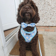 Load image into Gallery viewer, Daisy Dream Bow