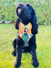 Load image into Gallery viewer, Up and Away Harness