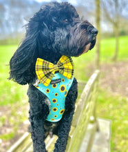 Load image into Gallery viewer, Sunflower Buzz Harness