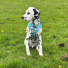 Load image into Gallery viewer, Up and Away Harness