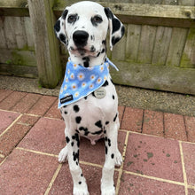 Load image into Gallery viewer, Daisy Dream Bandana