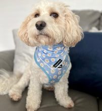Load image into Gallery viewer, Daisy Dream Bandana