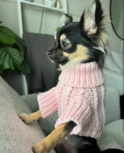 Load image into Gallery viewer, Pastel Pink Jumper