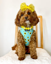 Load image into Gallery viewer, Sunflower Buzz Harness
