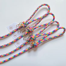 Load image into Gallery viewer, Coral Reef Rope Lead