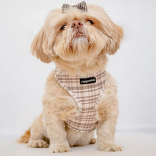 Load image into Gallery viewer, Signature Tartan Harness