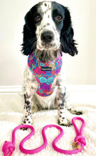 Load image into Gallery viewer, Uptown Funk Harness