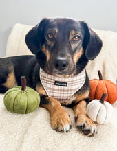 Load image into Gallery viewer, Signature Tartan Harness