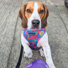 Load image into Gallery viewer, Uptown Funk Harness