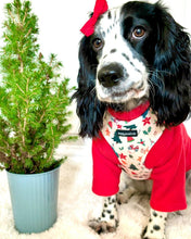 Load image into Gallery viewer, Winter Wonderland Harness