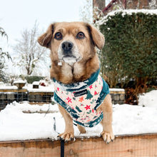 Load image into Gallery viewer, Winter Wonderland Harness