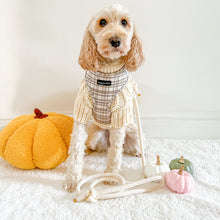 Load image into Gallery viewer, Signature Tartan Harness