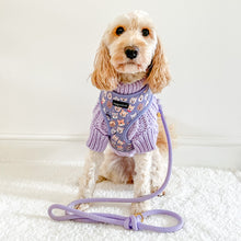 Load image into Gallery viewer, Lilac Jumper