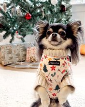 Load image into Gallery viewer, Winter Wonderland Harness