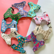 Load image into Gallery viewer, Surprise Harness