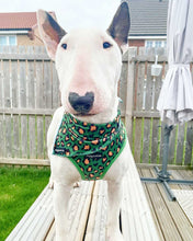 Load image into Gallery viewer, Green Leopard Bandana