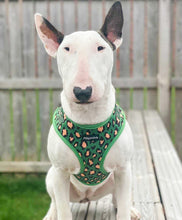 Load image into Gallery viewer, Green Leopard Harness