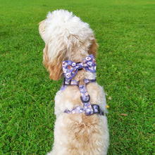 Load image into Gallery viewer, Who Let The Dogs Out Bow