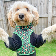Load image into Gallery viewer, Green Leopard Harness