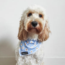 Load image into Gallery viewer, Daisy Dream Bandana