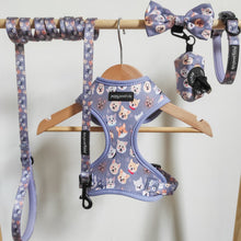 Load image into Gallery viewer, Who Let The Dogs Out Bundle