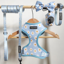 Load image into Gallery viewer, Daisy Dream Bundle