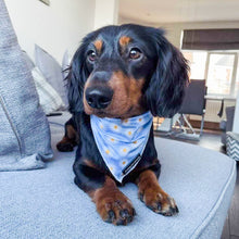 Load image into Gallery viewer, Daisy Dream Bandana