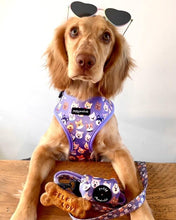 Load image into Gallery viewer, Who Let The Dogs Out Poo Bag Holder