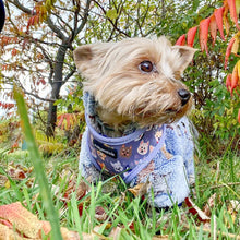 Load image into Gallery viewer, Who Let The Dogs Out Harness