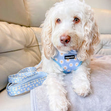 Load image into Gallery viewer, Daisy Dream Harness