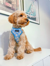 Load image into Gallery viewer, Daisy Dream Harness