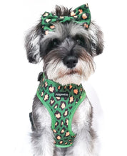 Load image into Gallery viewer, Green Leopard Bow