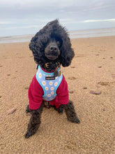 Load image into Gallery viewer, Daisy Dream Harness