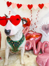 Load image into Gallery viewer, Green Leopard Harness