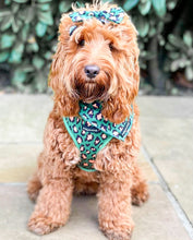 Load image into Gallery viewer, Green Leopard Harness