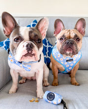 Load image into Gallery viewer, Daisy Dream Bow